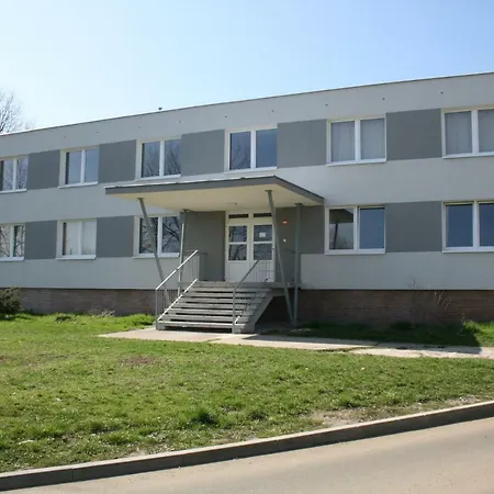 Vinohrady Homestay